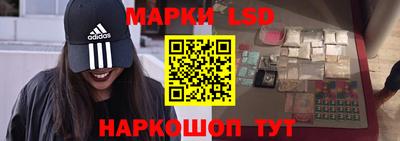 mdpv Гатчина