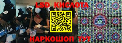 mdpv Гатчина