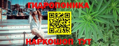 mdpv Гатчина