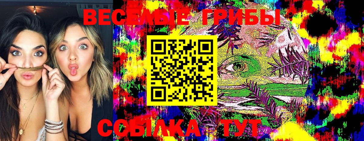 Псилоцибиновые грибы Psilocybe Пугачёв