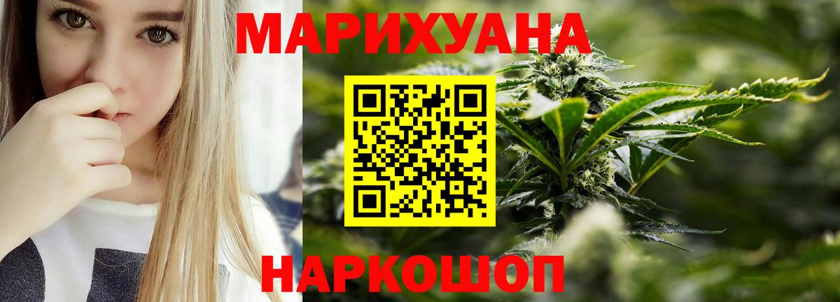 Бошки марихуана планчик  Вход с VPN  Пугачёв  Шишки марихуана гибрид  Каннабис конопля 